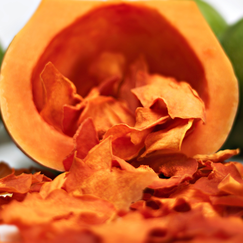 Dehydrated-Squash Dehydrated-Squash
