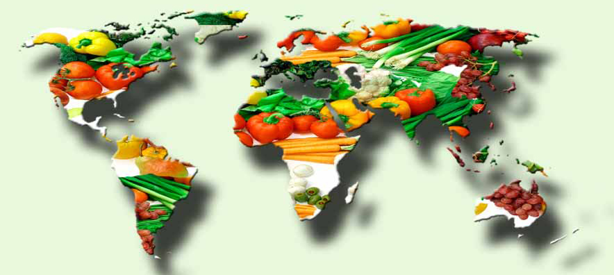 Dehydrated Vegetables Fruits Dehydrated Vegetables Fruits
