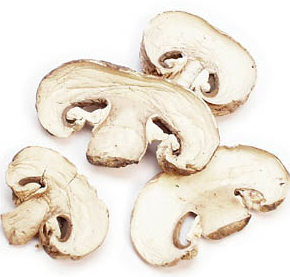 dehydrated mushrooms dehydrated mushrooms